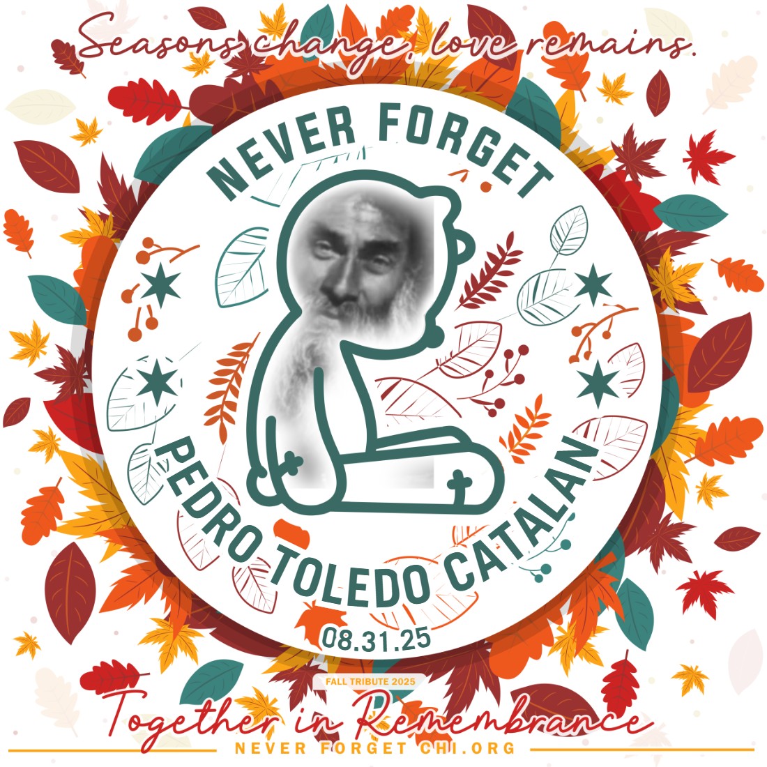 Pedro Toledo Catalan